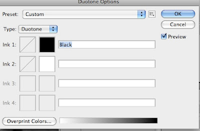 photoshop duotone tutorial screen shot