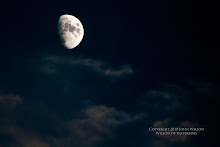 Summer Moon Over Waterbury