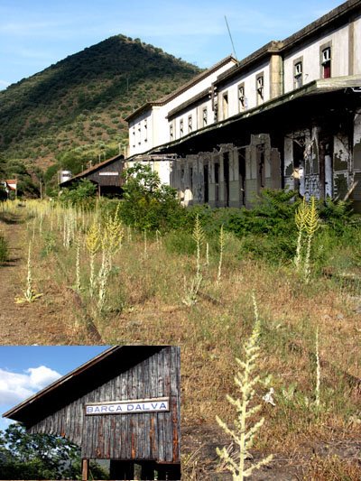 [Barcad'AlvaCP2+copy.jpg]