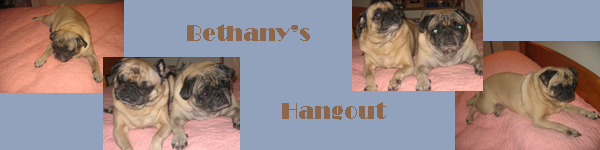 Bethany's Hangout