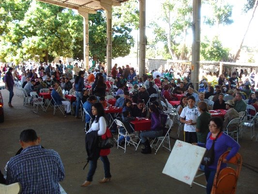 [bingo+maninho+005.jpg]