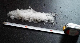 Goldfischli Januar 2009