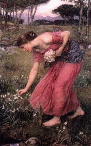 [whnarcissus1m.jpg]