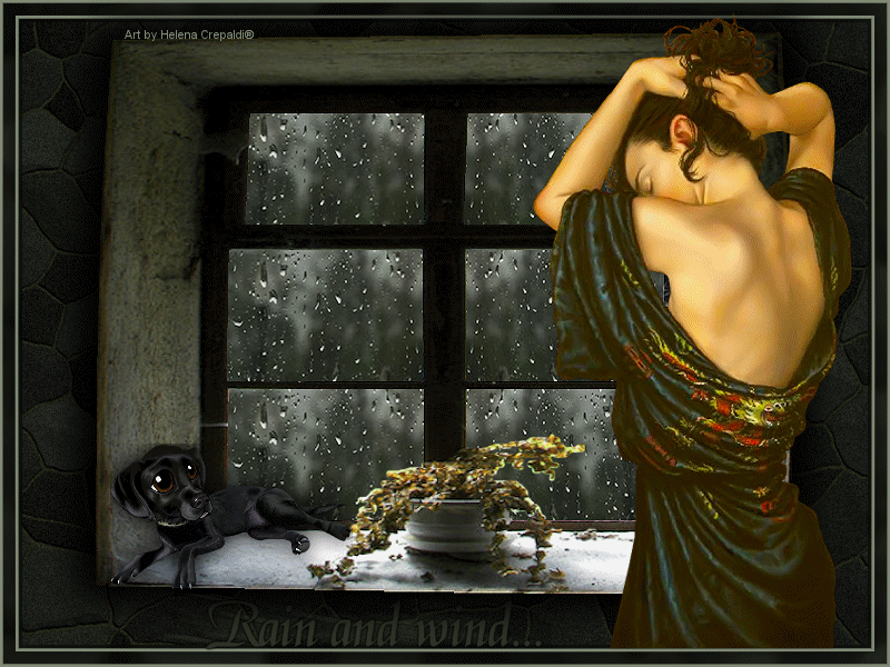 [RainWind.gif]