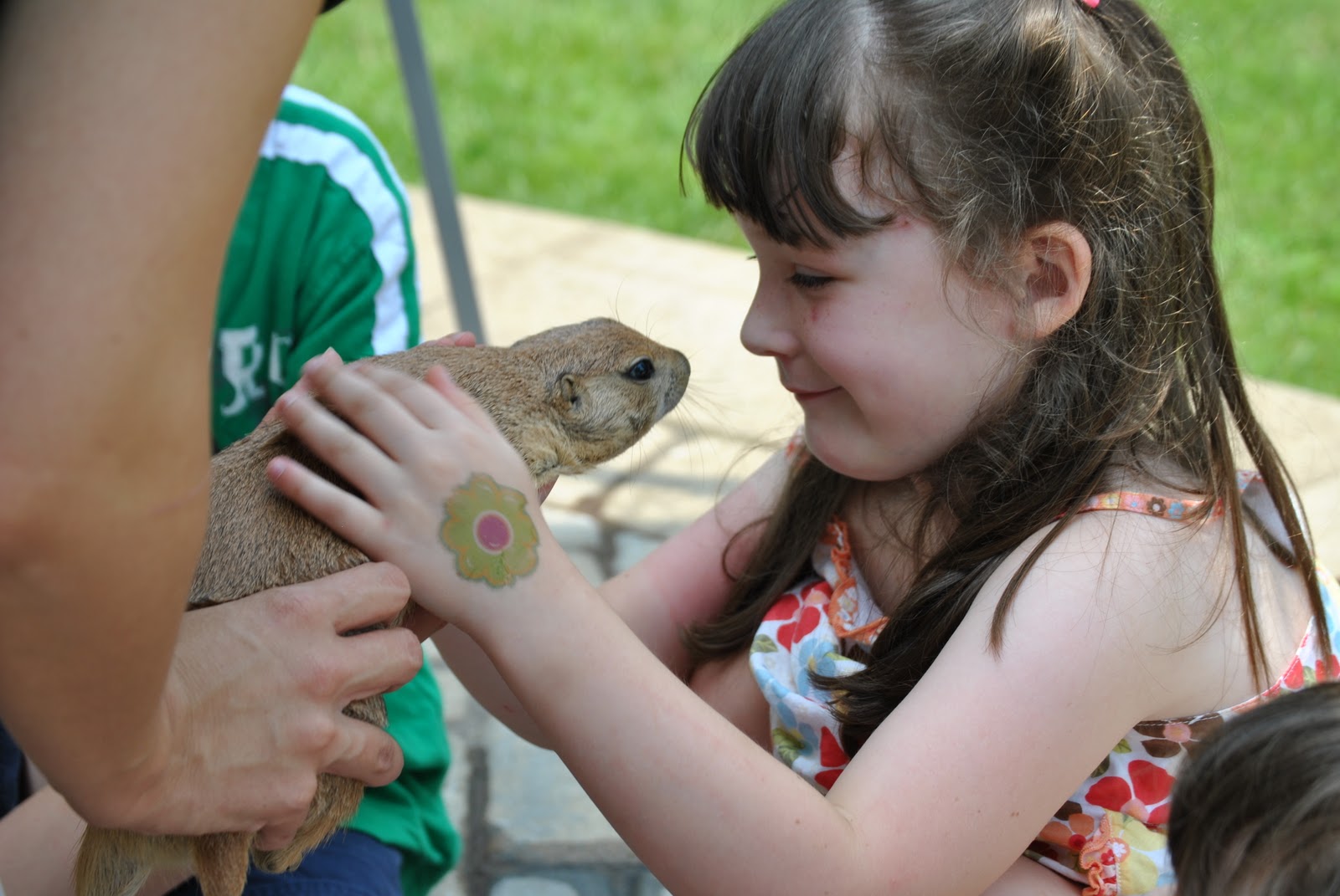 Kids Love Animals