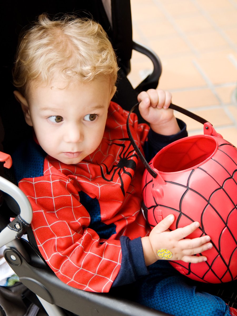 [halloween08web.jpg]