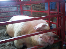 This is what a Real CORNFED IOWAN looks like!