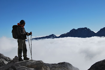 Picos de Europa