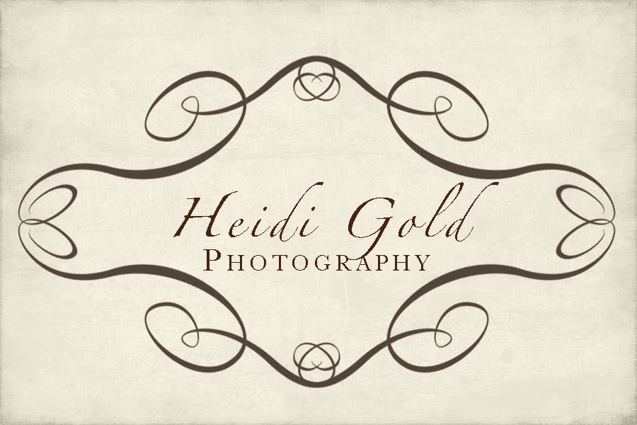 Heidi Gold Photography