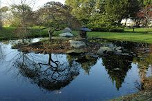 Clear reflection, oriental pond