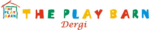 The Play Barn Dergi