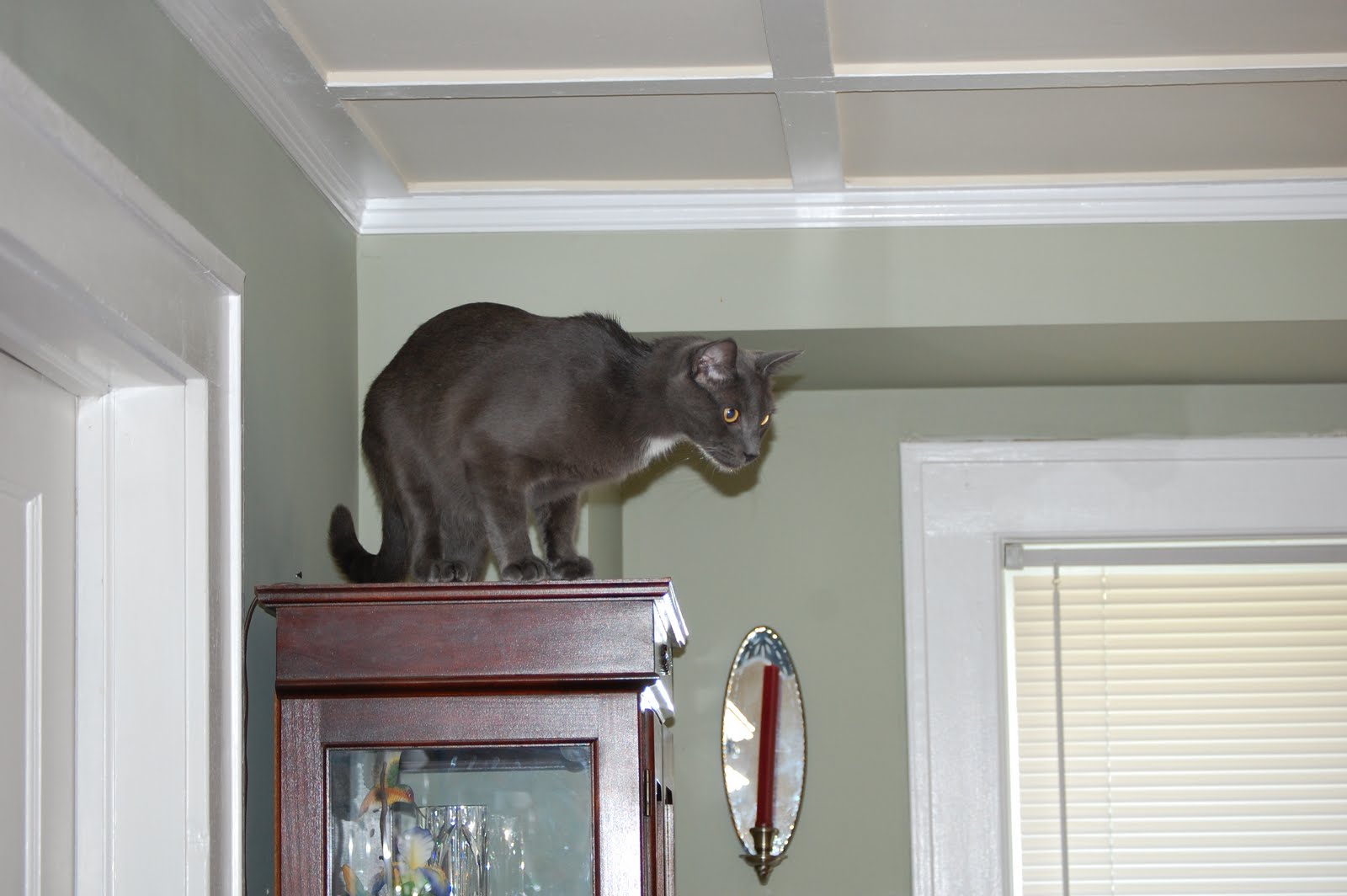 [1stdaycat+008.JPG]