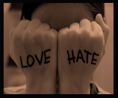 Love N Hate