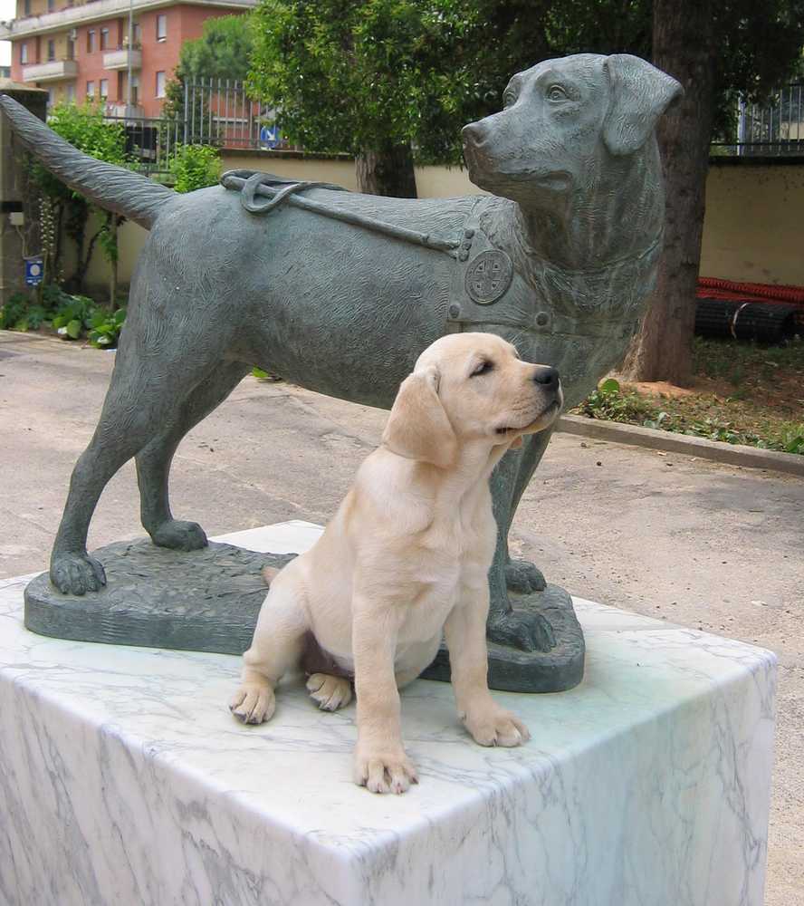 [1232009931632_Cucciolo+con+monumento.jpg]