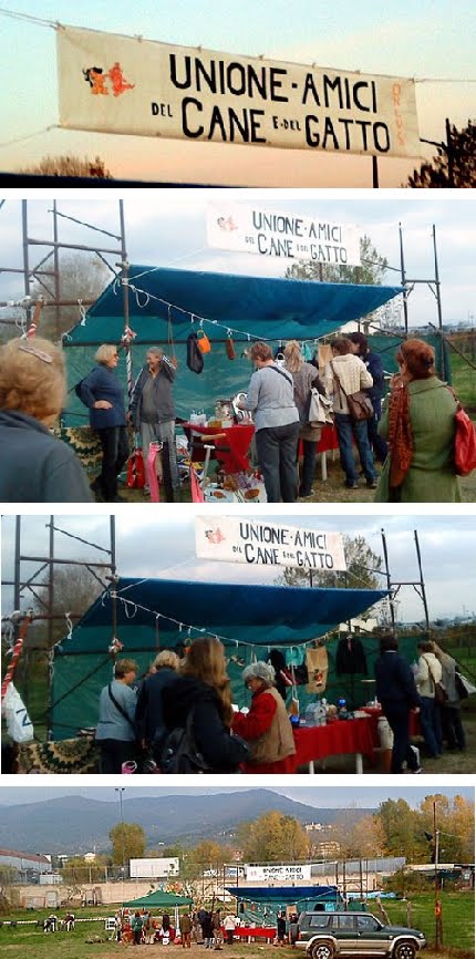 [home_mercat-2.JPG]