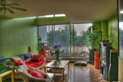 Indoor Plants Decorating Ideas for Interior Green Room