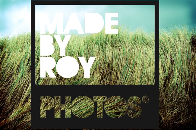 "Roy's Photoblog"