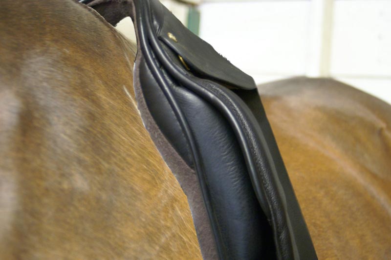 Saddle advice Chronicle Forums