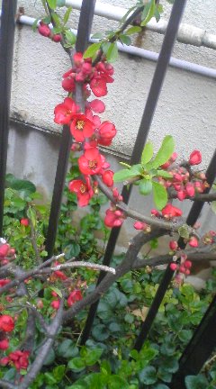 [090314_1534~01-736577.jpg]