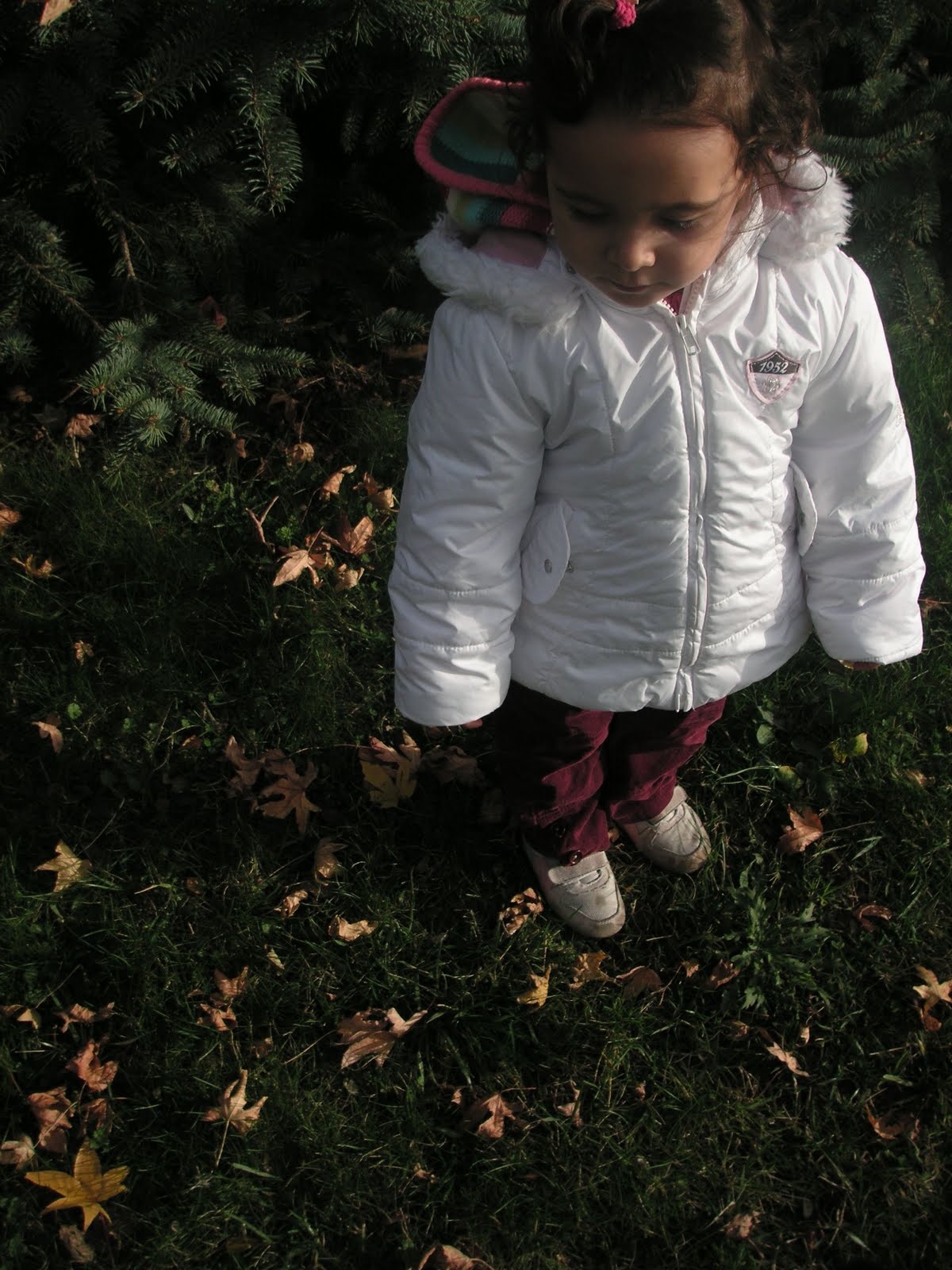 [PICT0044.JPG]
