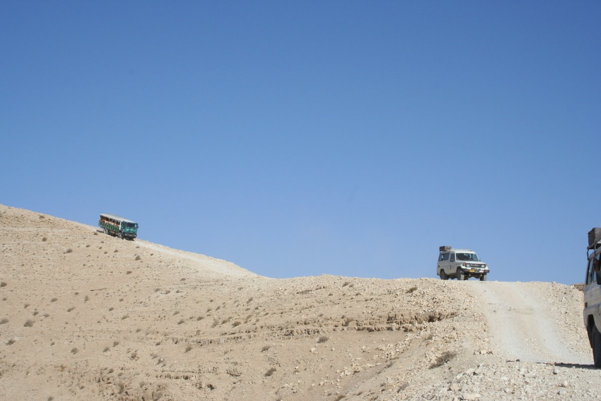[IMG_4732.JPG]