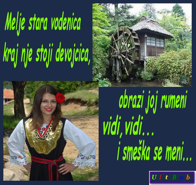 Bulka Cvet