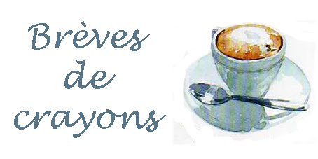 Brèves de crayons