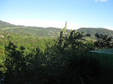 Beautiful View in Boquete