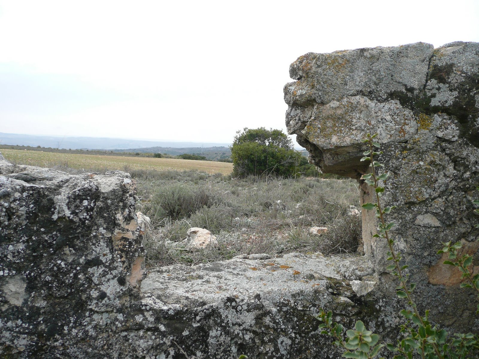 [P1000585.JPG]