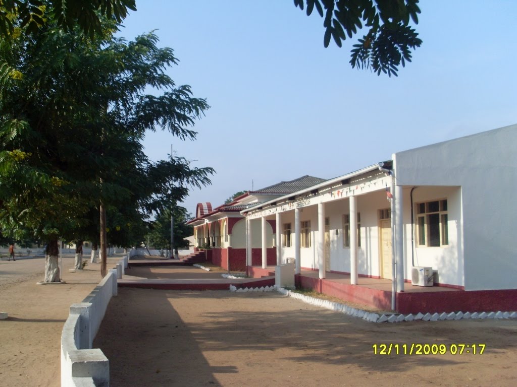 [SL370960.JPG]