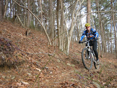 Stanley Gap, Blue Ridge, GA