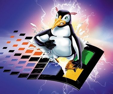 [linux-windows.jpg]