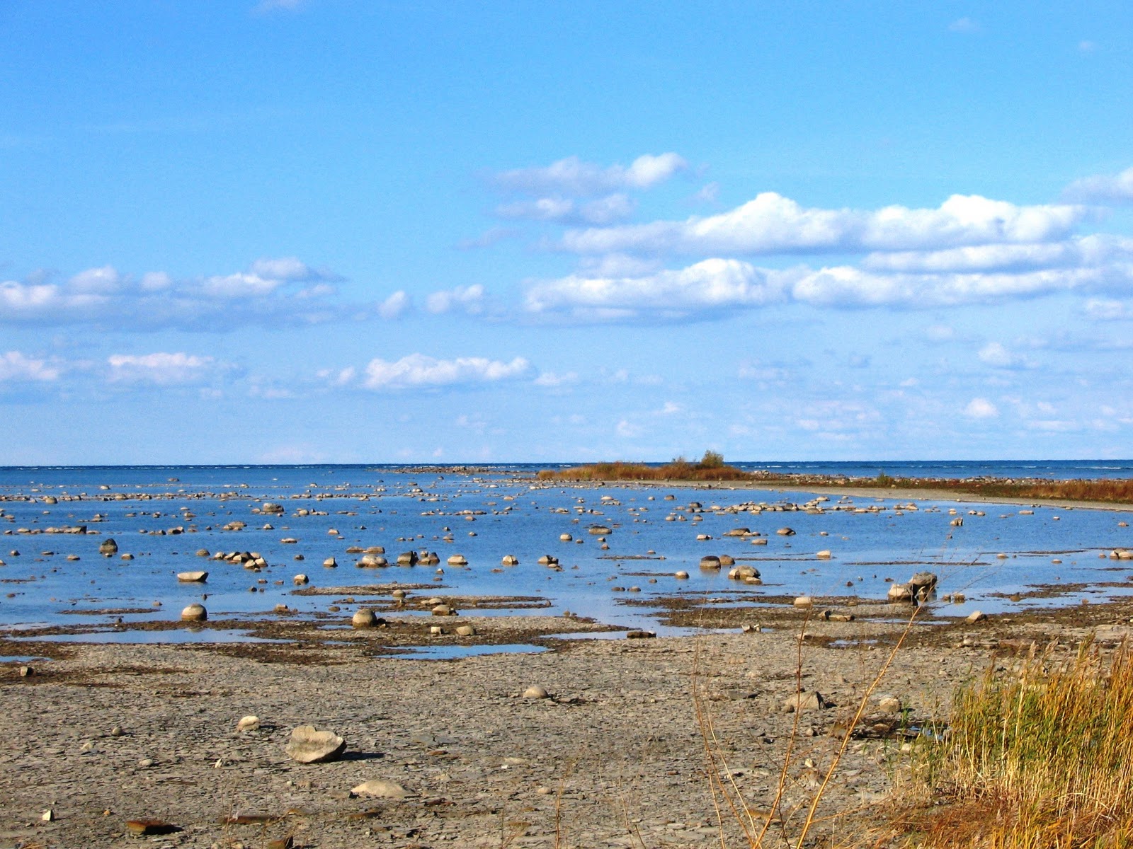 'Burg Birder KP and the Kettles