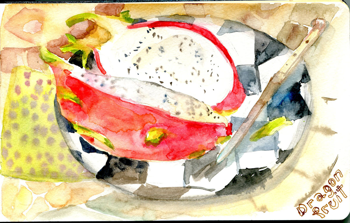 Dragon+fruit+drawing