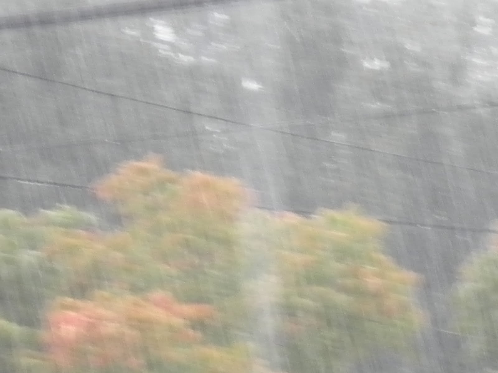 [fall+rain+007.jpg]