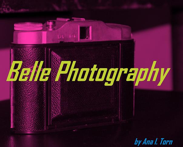 Abelle Photography