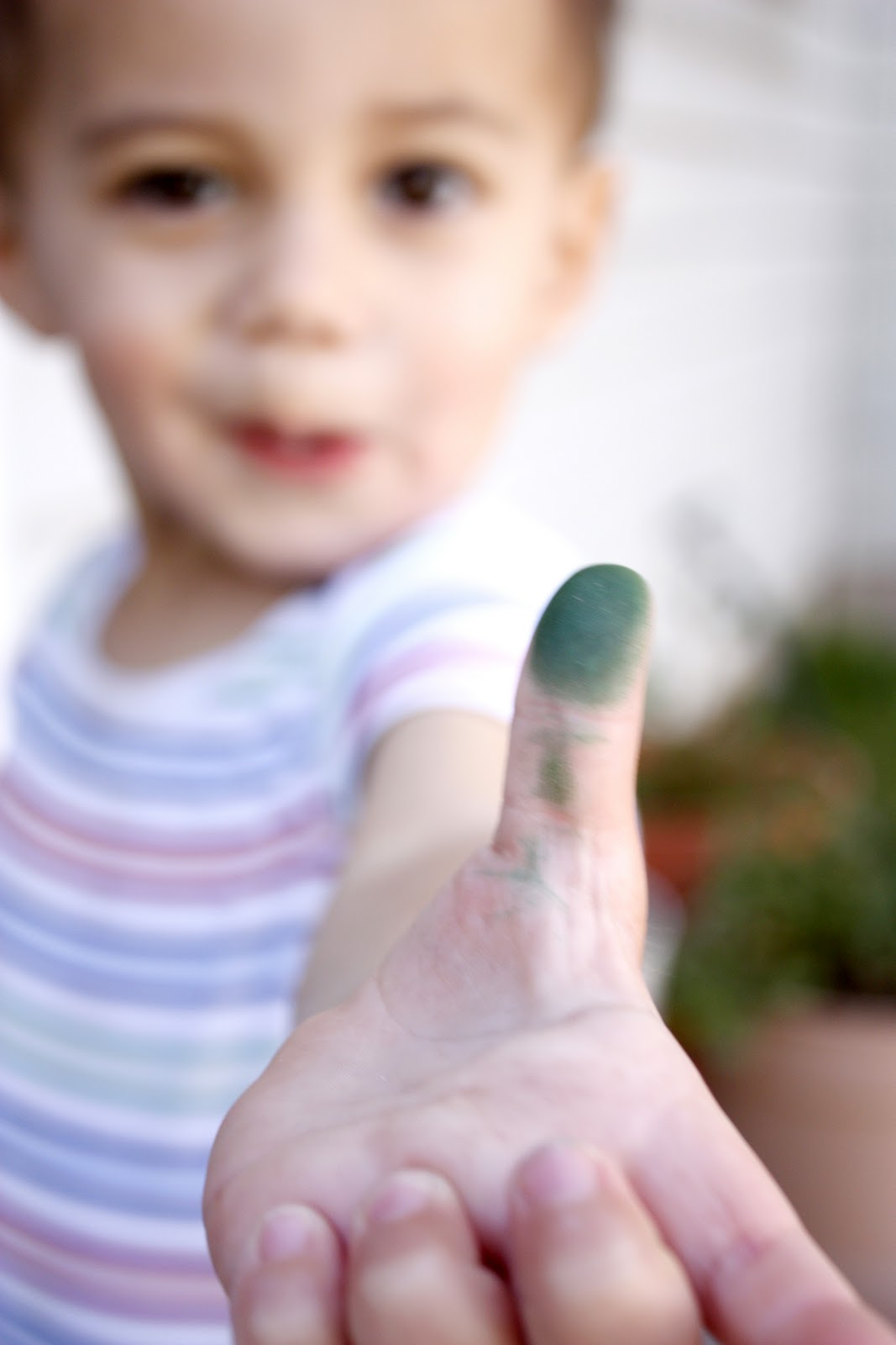 Green Thumb Pictures