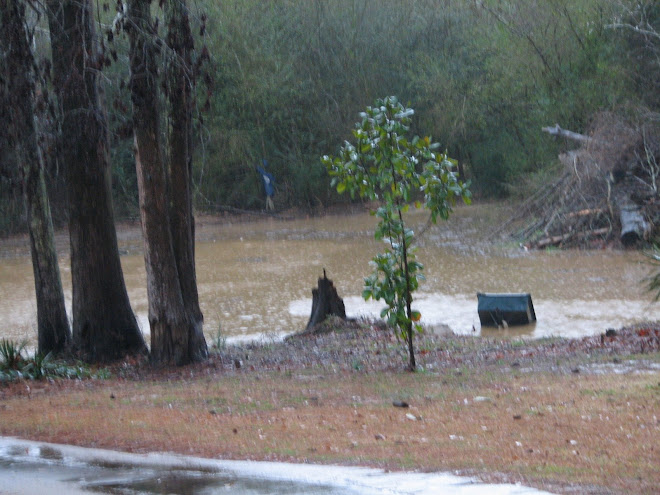 Flood Waters at Our House 2/27/09