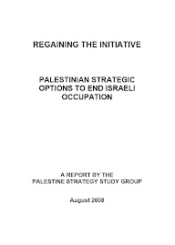 Palestine Strategy Study Group