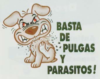 POR FAVOR !!!!!!!
