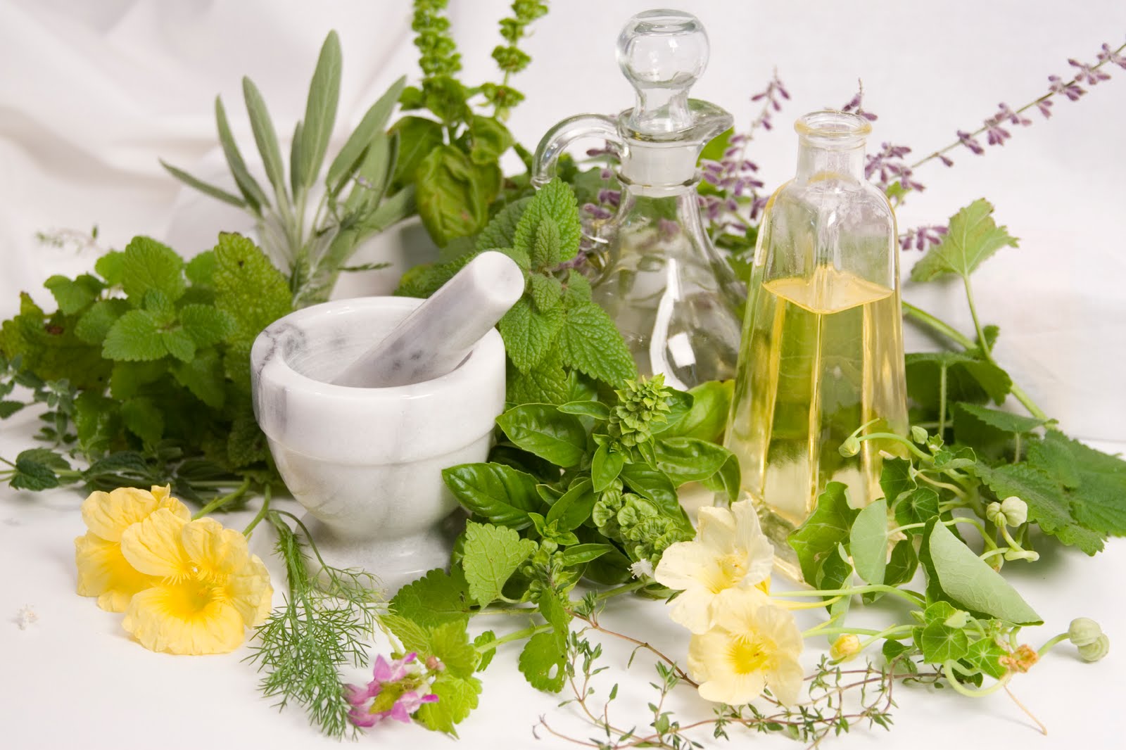 Sagescript Institute Phytochemicals  what are they?