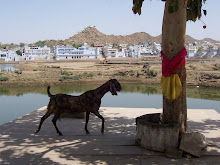 Pushkar (India)