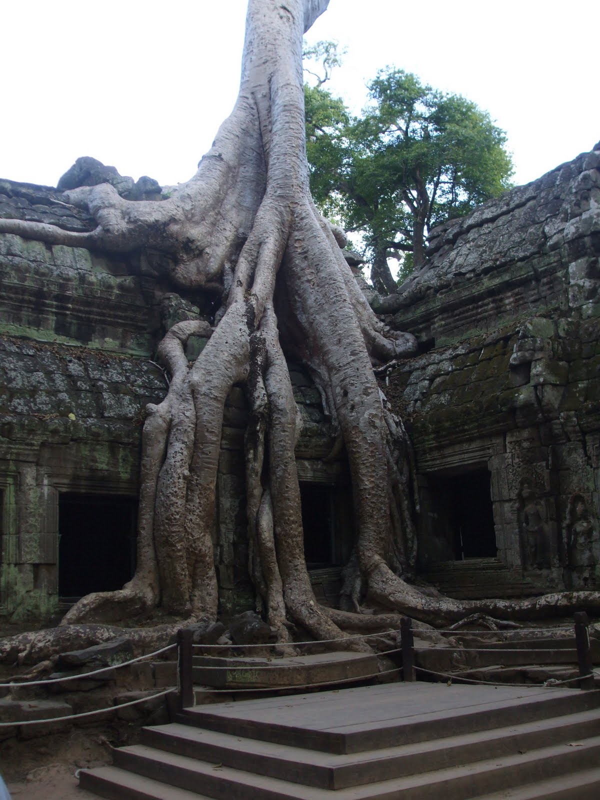 [DSCF1786.JPG]