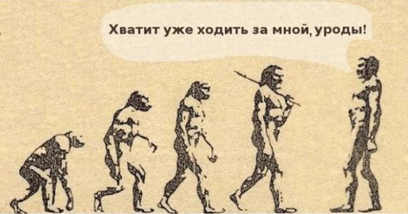 [Повород+эволюции.jpg]