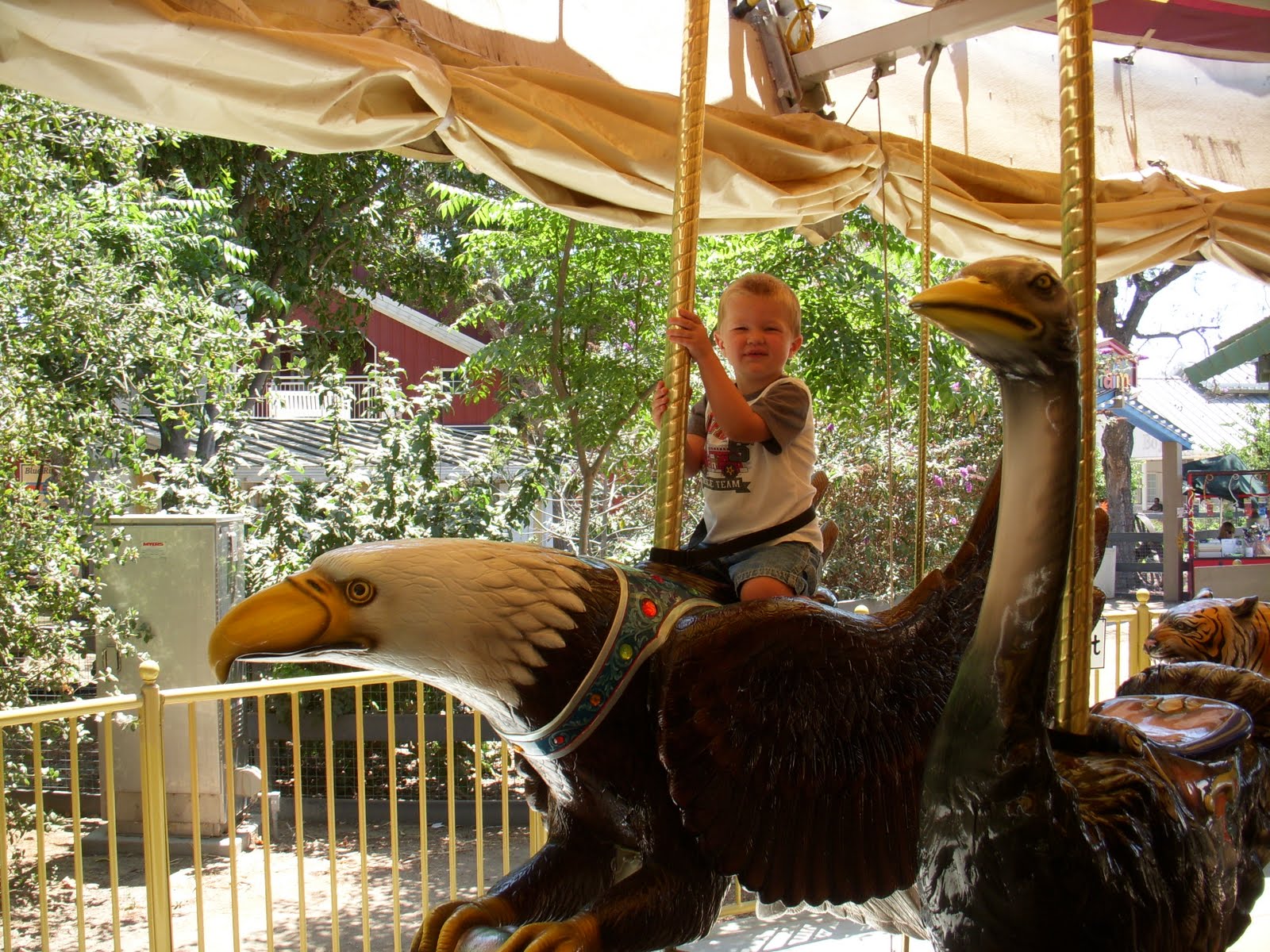 California Way The Santa Ana Zoo