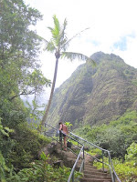 Trail steps in Iao Valley State Park, Maui, Hawaii