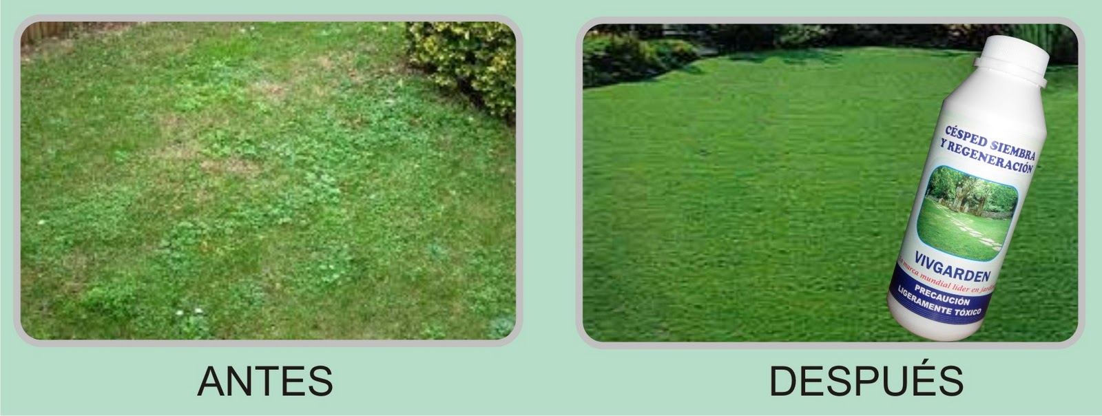 Vivgarden: Arregla tu jardín y te da consejos: CUIDADO DEL CÉSPED