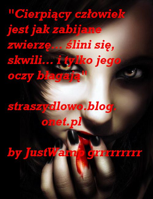 Straszydłowo-straszne historie...