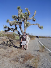 Joshua Tree National Park