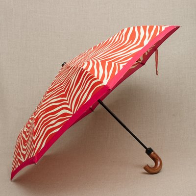 [JCrewOrangeZebraUmbrella.jpg]